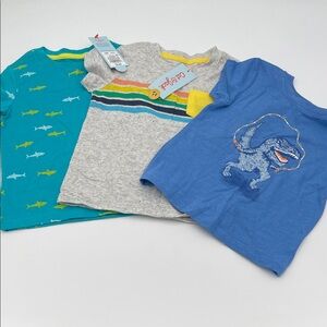 Cat & Jack Boys 18 mth T-Shirts Bundle (3)